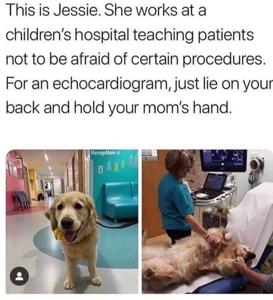 Thats amazing.