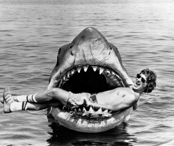vintagegal:  Steven Spielberg on set of Jaws
