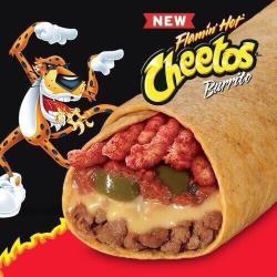 dynastylnoire:  4t-ounce:  childishgambooty:  bvsedjesus:  Taco Bells new Booty Hole Blaster doesnt digest in your stomach, it ignites!   HAHAHAHA OMFG  Worth it  So does it come with pepcid ac or nah?   I miss hot Cheetos