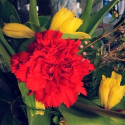 Sparks #Flowers #red #yellow #green #floriculture