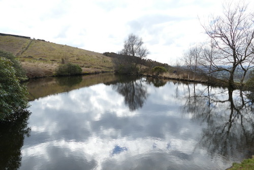 Views from Nicky Nook in the Forest of Bowland, North Lancashire