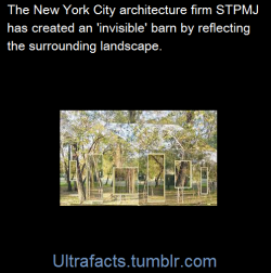 ultrafacts:  (Fact Source) Follow Ultrafacts for more facts  This is really super cool!