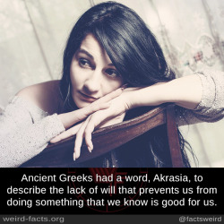 mindblowingfactz:   Ancient Greeks had a word, Akrasia, to describe the lack of will that prevents us from doing something that we know is good for us. source image via pexels 