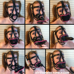 kittydenied:  Got inspired to do a collage of my modular harness gag for my gag fetish fans :)