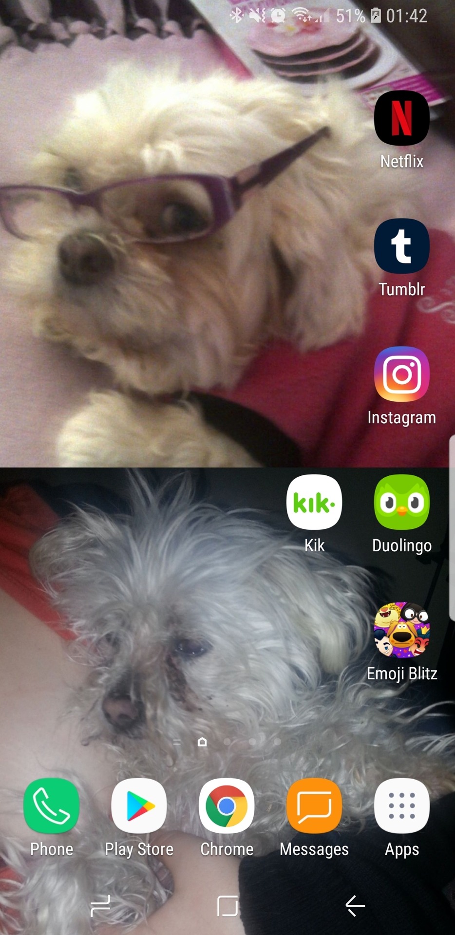 I was tagged by @fairyneko Home screen: Lilly up top, Buffy at the bottom.Lock screen: