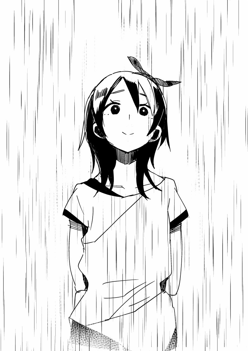 akka-imglog:  霧雨の降る森 