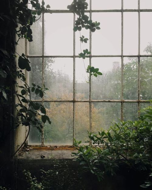 breathing-in-autumn-air:Greenhouse vibes 