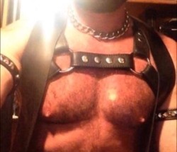 fmihorny:  raw poz muscle pig daddy perfection.