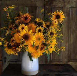 oldfarmhouse:  🌻🍁Dreaming of Sunflowers🌻🍂