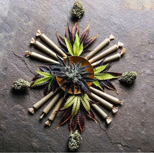 mybluntart:  stonedhustlerslife:  Marijuana Style