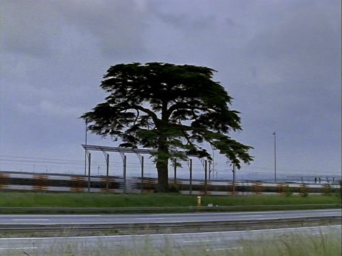 Films are created when there’s no one looking. They are the invisible.What you can’t see is the Incr