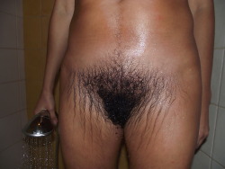 allhairygirls:  Another perfect hairy pictures