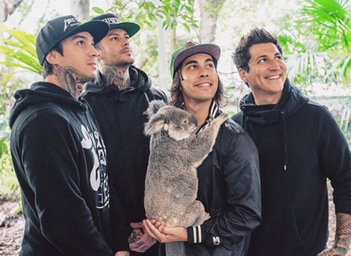 Pierce the Veil at Lone Pine Koala Sanctuary!