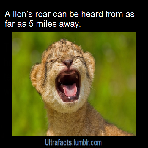 ultrafacts:  Source For more posts like this, follow the Ultrafacts Blog!
