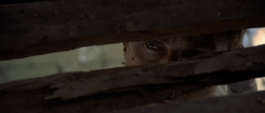 The Deer Hunter | 1978 | Micheal Cimino