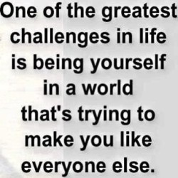 43wolves:  Be a #leader #thetruth www.CreatingYouNow.com #lifecoach #gregcarroll #reikimaster #reiki #pma #wakeuppeople #loveyourself #loveeveryone #weareallrelated #quote #inspiration #motivation #motivated #inspire #inspired #getinspired  #mindset101