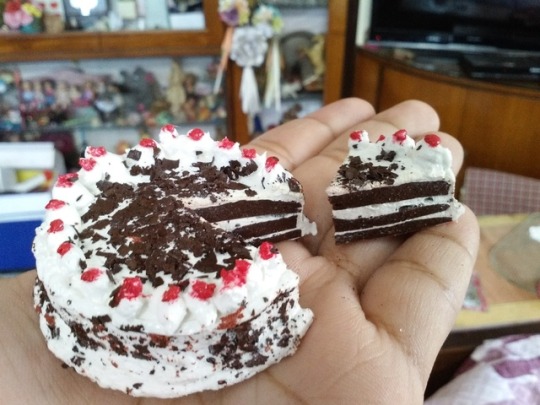 Sanhati Pal Back In February 18 I Made Fake Silicone Cakes Sanhati Pal Back In February 18 I Made Fake Silicone Cakes