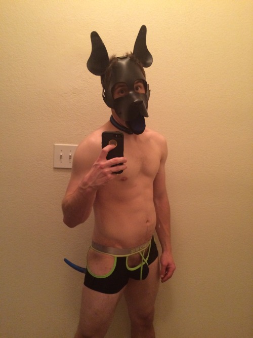 bdsmpetplay:  theblupup:  puparc:  Hey Tumblr, adult photos