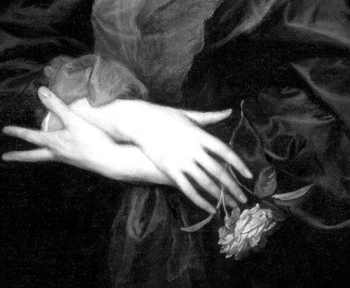 iconophages:    Anthony Van Dyck | Portrait of a Woman with Roses (detail), 1635-39