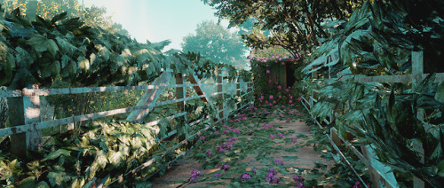 thatjessopgirl:Far Cry New Dawn 2/?