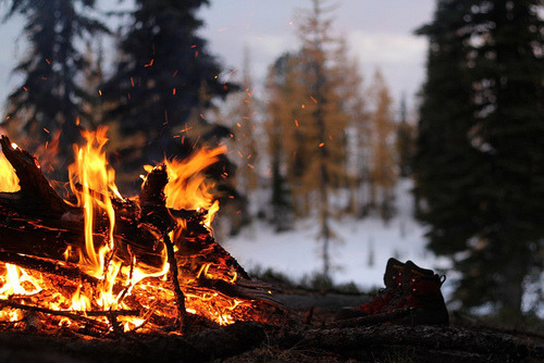 behiind-the-camera-lens:  ღ Follow me for your daily dose of photography ღ 