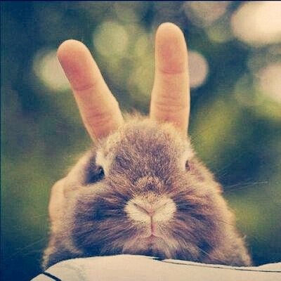 thatweirdgirlblog:  cute on We Heart It. 