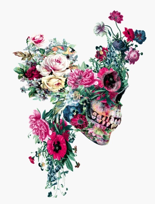 XXX lesstalkmoreillustration: Floral Skull Giclée photo