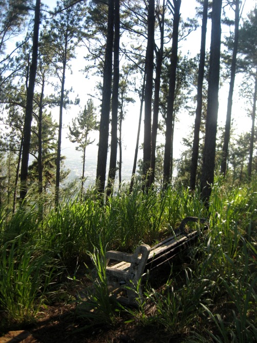 trailpace:Seat with a view, Mt. Tabor Trail