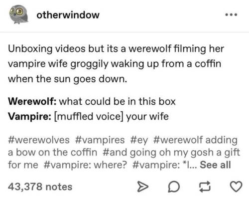 I Need Those Stupid Things After Yesterday's Episode