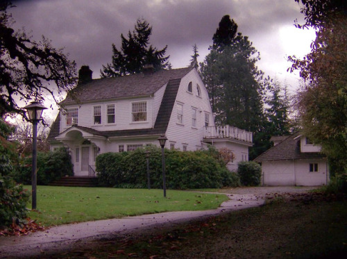 whatyearisthis:Twin Peaks (S2/E1: May the Giant Be with You)