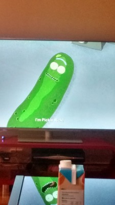 arvoze:i took a pic of me watching the pickle rick episode to piss people off but like somehow i managed to take the pic so that the frame on the tv was…. a different frame to the reflection on the desk?