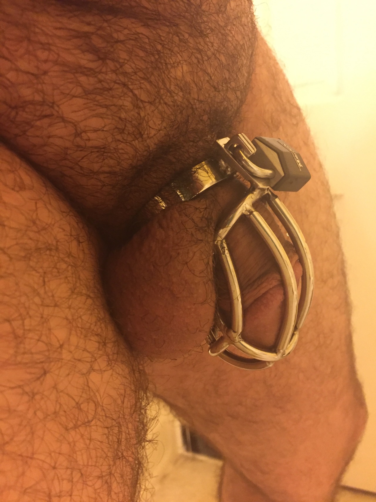 pupkato:  After morning shower. Wonder when I will take it off…. 