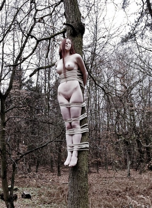 extreme-bondage 167423386404 adult photos