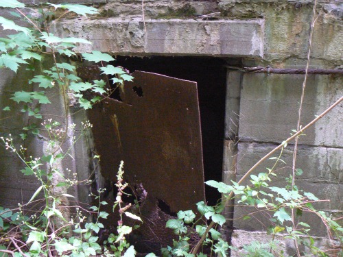 pupatansky: SPOOKY PICS  ✧ Fort Wadsworth, New York