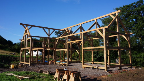 A larch and douglas fir Barn built for the Wildings community farm in Pensford south of Bristol.