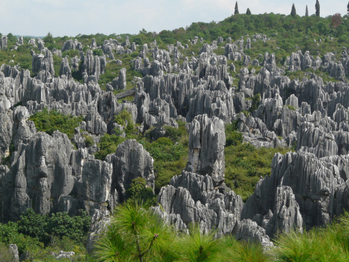 Sex sixpenceee:  Shilin Stone Forest, ChinaPart pictures