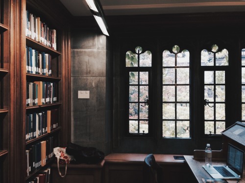 triflingthing: One of the University of Toronto’s many magical libraries