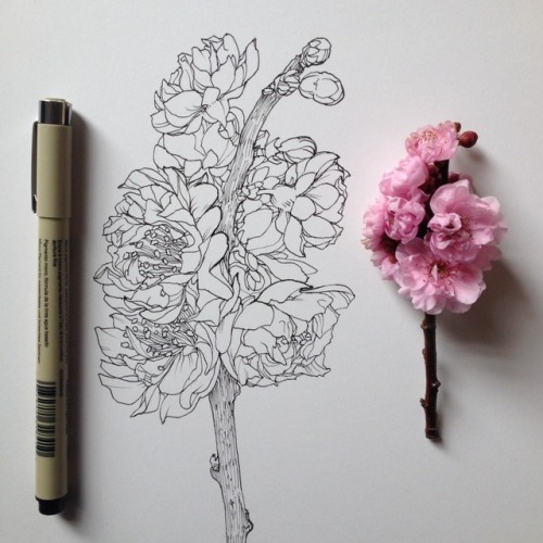 blossom ink 