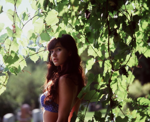 thatartzygirl:  I like these photos a lot. Not sure why I never shared them. Mamiya RB67+Fuji Velvia. August 2011. Shot by Sarah.