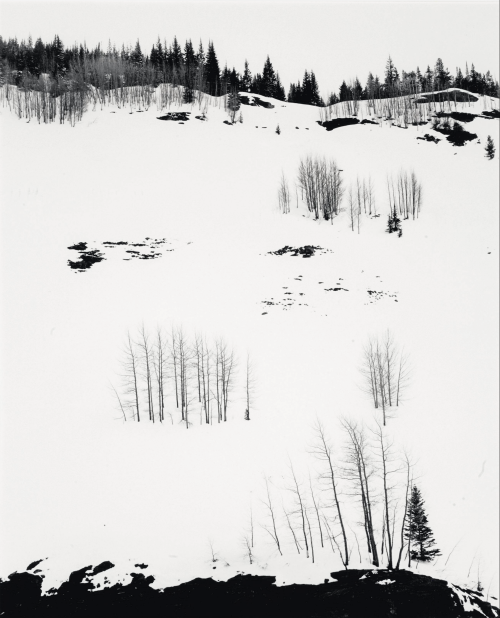 robert-hadley:DON WORTH (1924-2009) - Aspen Trees and Snow, Colorado, 1957Source: christie’s.com