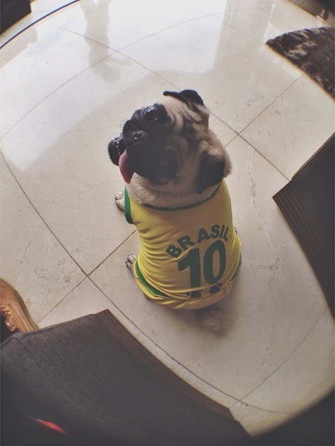eu me nego a fracassar