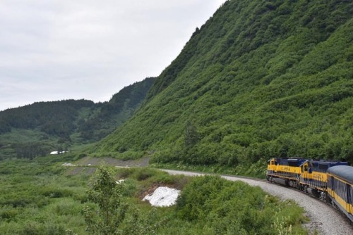 #alaska #alaskarailroad #anchoragetoseward #thegreatoutdoors #alaskanature #railway #train #travel #