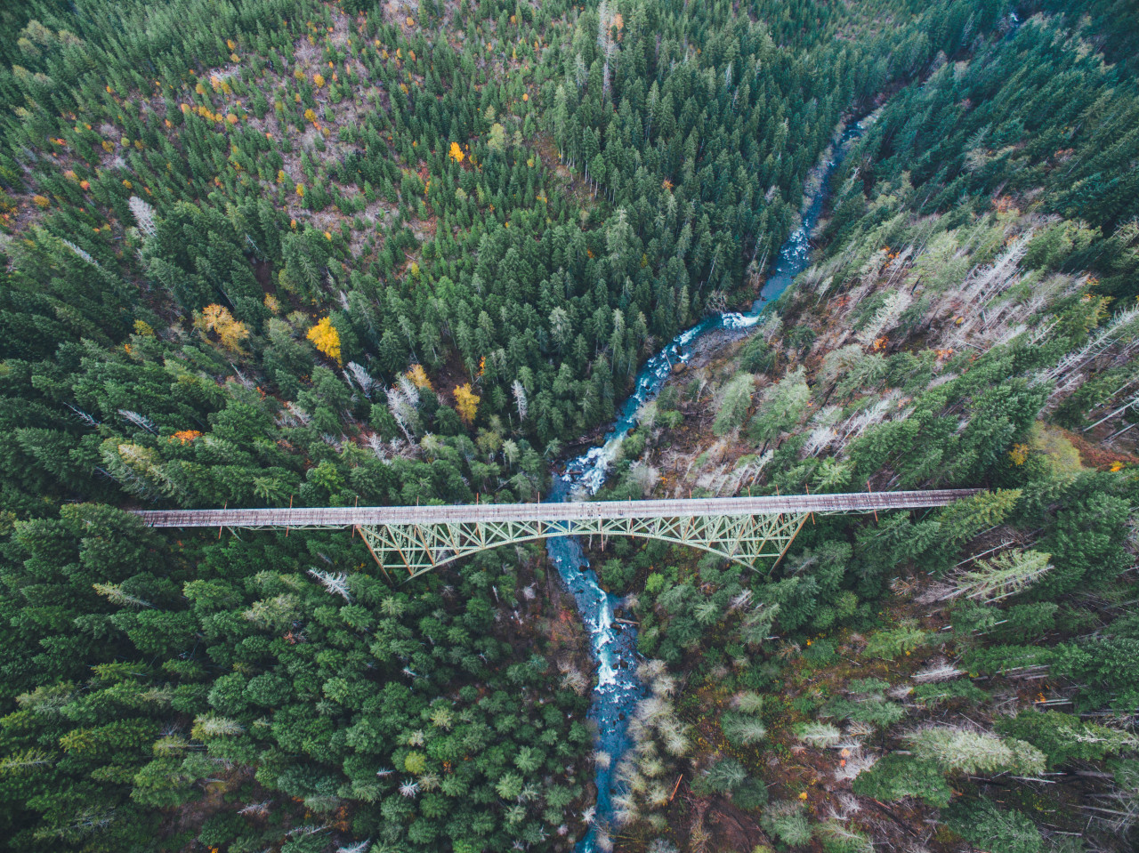 northwezt:Vance Creek Bridge (Nov. 4, 2015)