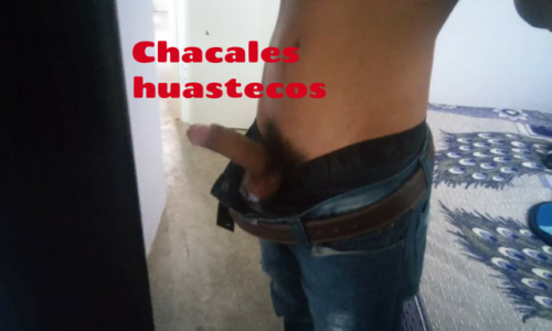 chacaleshuastecos2:  Rico chacal de rancho Andrés de la husteca potosina