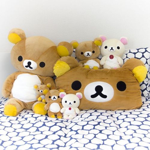 #Rilakkuma relax crew just saying hello Special delivery from our #TokyoPony shop. Pre-order and ad