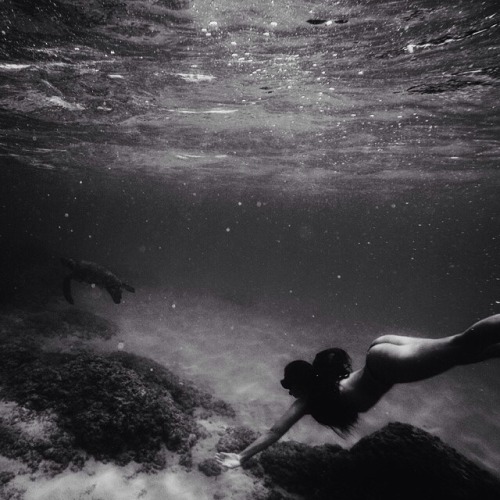 surfeau: ocean/surf follow for more similar posts ;)