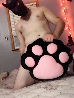 pupblackice:   Arf Arf!! -Wags Tail uncontrollably- AM I A GOOD PUPPERZ?!?! 😋🐶🖤😁😅 