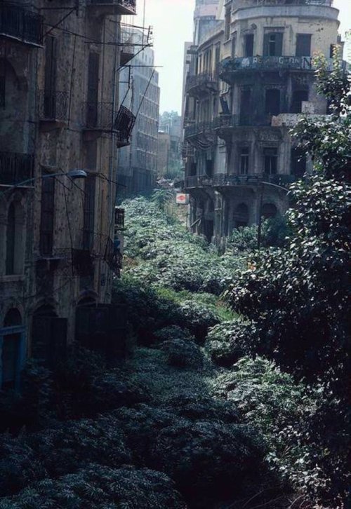abandonedography - The Green Line demarcation zone, Lebanon by...