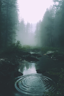 dark-of-night-47:  elvenlake:  rivers  Beautiful… 