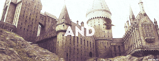 nhu-dles:  Draco dormiens nunquam titillandus 